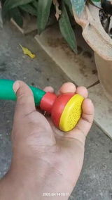 Soibam Teinkoo review photo