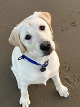 Emmas L. review photo