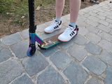Hans VD review photo