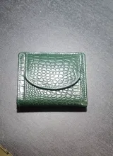 Anvik S. review photo