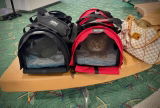Olga T. review photo