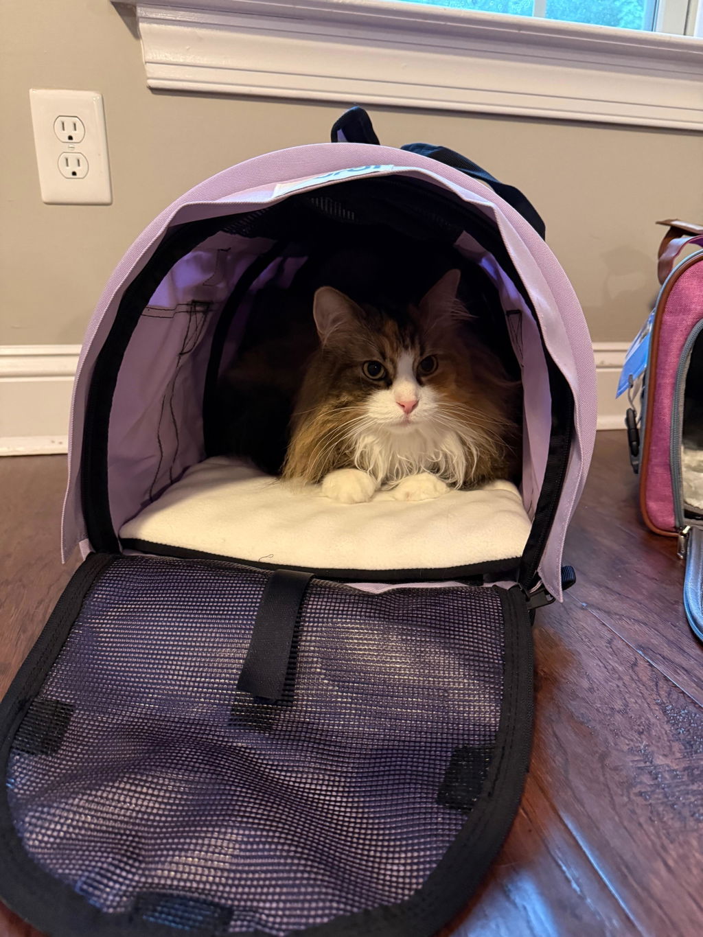 SturdiBag™ Pro 2.0 Divided | Airline-Approved Two-Pet Soft Travel