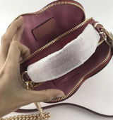 sis review photo