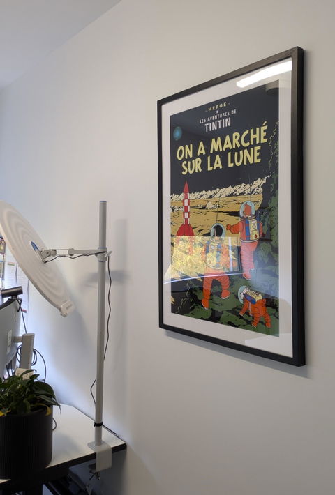 Tintin On a Walk on the Moon Bedroom Wall Art