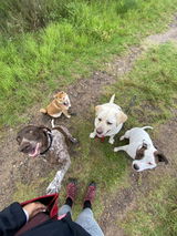 T'arra Patea review photo