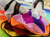 Imogen review photo