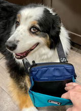 Aussie Pawsie review photo