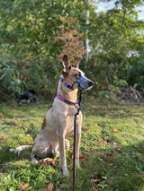 Leah Hemphill review photo