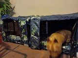 Mel Dixon review photo