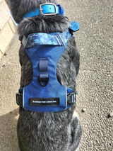 Lou review photo