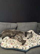 Georgia review photo