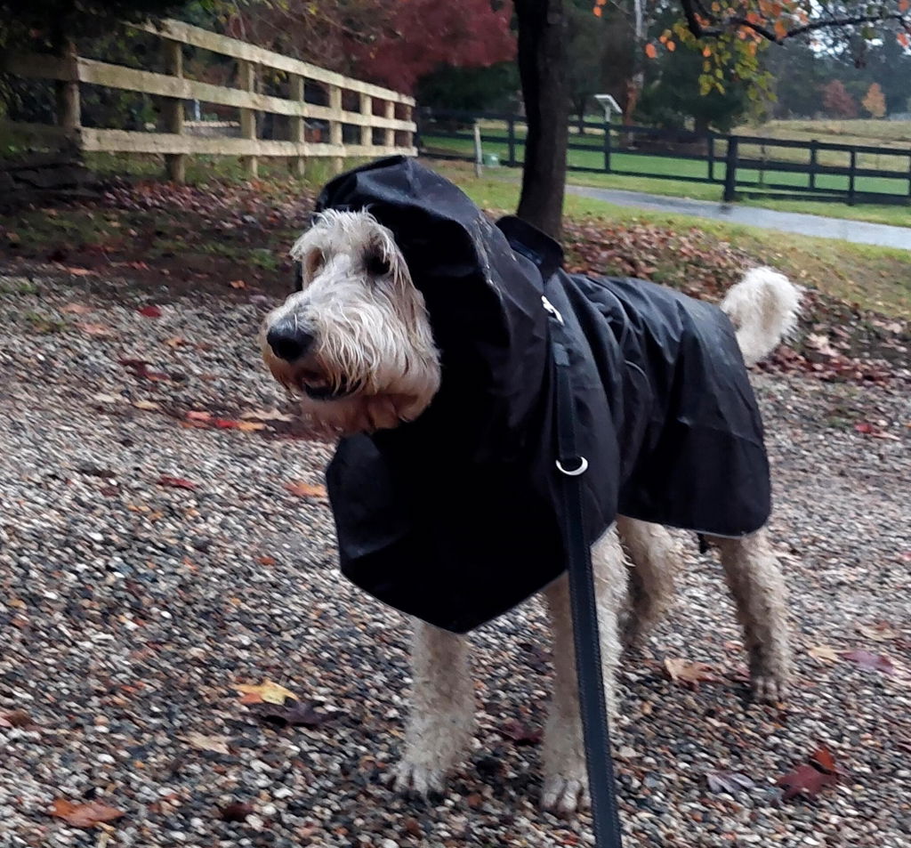 Black Raincoat