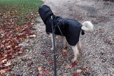 Tasha review photo