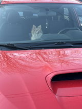 Red WRX review photo