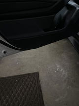Kelvin review photo