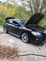 Brandon Roush review photo