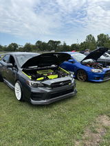 Alex Sarver review photo