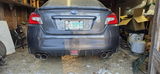 Jorge G. review photo