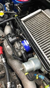 Subieguy30 review photo