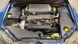 Zoomies_406 review photo