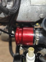 Shannon review photo