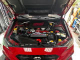 Magnus Rufus review photo