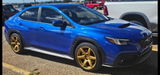 GoldBlue review photo