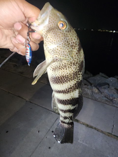 Submission Fishing Co.