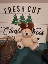 Casey review photo