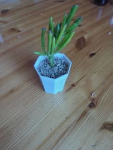 Cortney review photo
