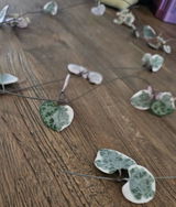 Aletha review photo