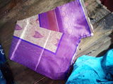 Chitra Bauri review photo