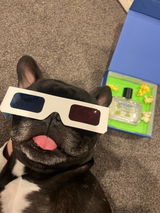 Pablo review photo