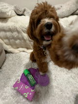 Annie review photo