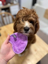 Annie review photo