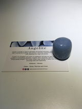 H.G. review photo