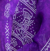 Sonal V. review photo