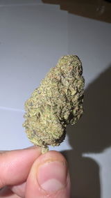 Brian B. review photo