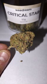 Brian B. review photo