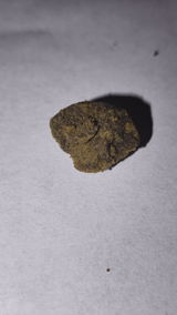 Brian B. review photo