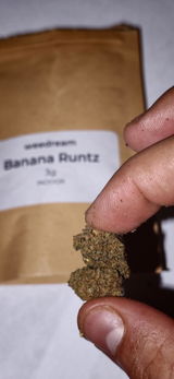 Brian B. review photo