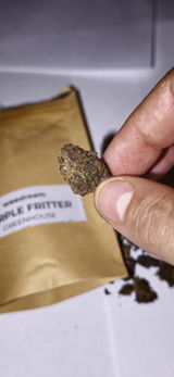 Brian B. review photo