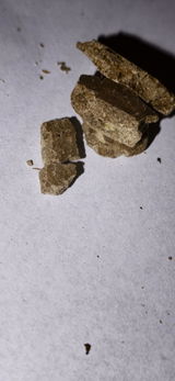 Brian B. review photo