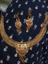 Nitin Gavali review photo