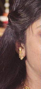 Varsha Chitturi review photo