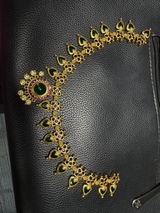 Pooja Krishnan review photo