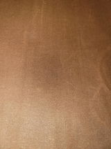 Pam F. review photo