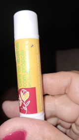 Anônimo review photo