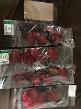 Tanashki Frater review photo