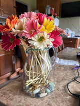 Karen Picerno review photo